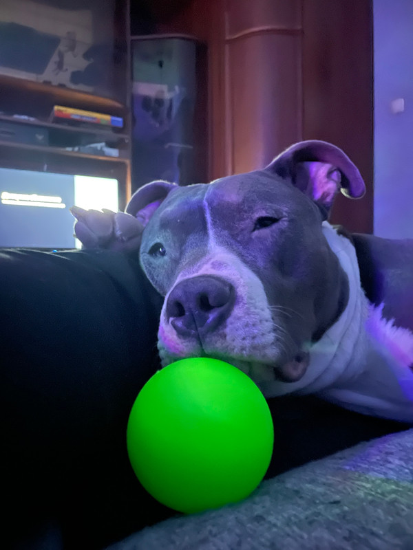 D13D349C-C3EC-4CDD-8291-0B3FF32613CD