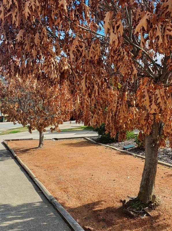 Naturaleza-7