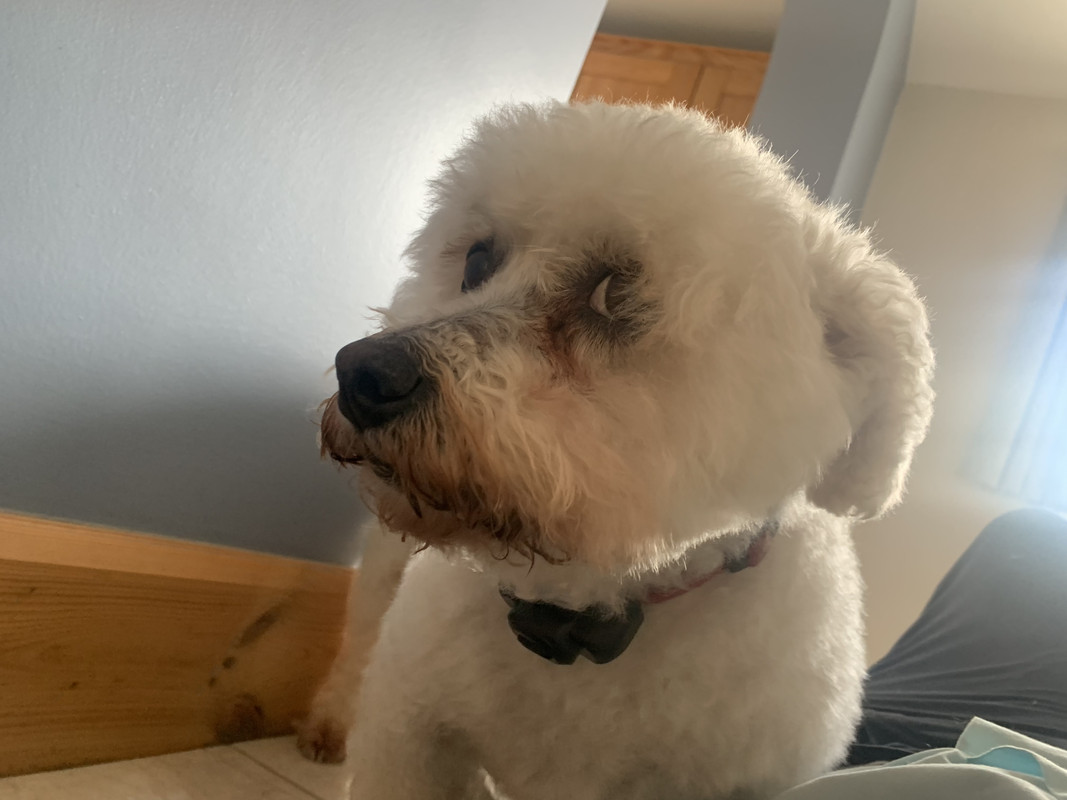 25B2B19F-3DD1-41B6-AE87-2E8FB1990758