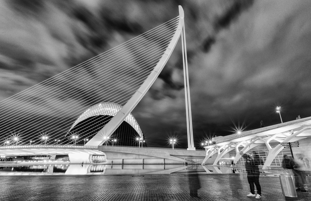 DSC 1354 Silver Efex Pro 2 024