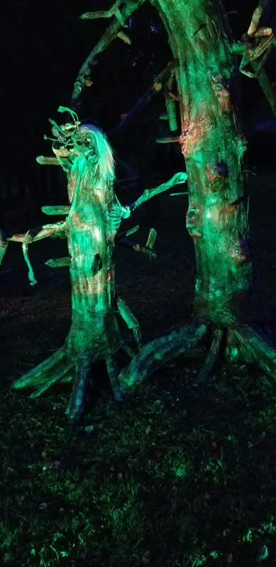 ADFE3458-5D91-45EA-A402-0187474A030B