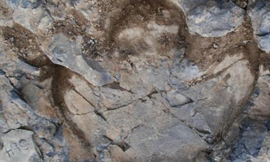 u-https-canadajournal-net-wp-content-uploads-2014-07-Researchers-Discover-Thousands-of-Dinosaur-F.jpg