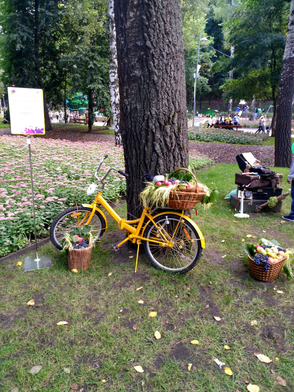 город-сад 2017-1-85