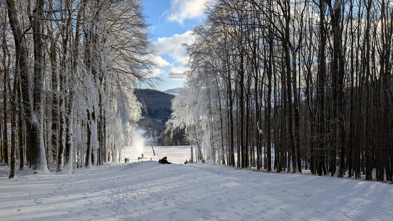 PXL_20250112_132429568.MP