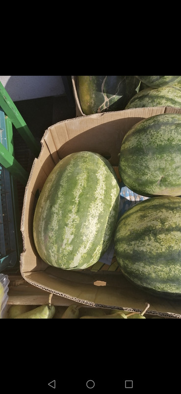 Screenshot_20240709_180154_com.android.gallery3d