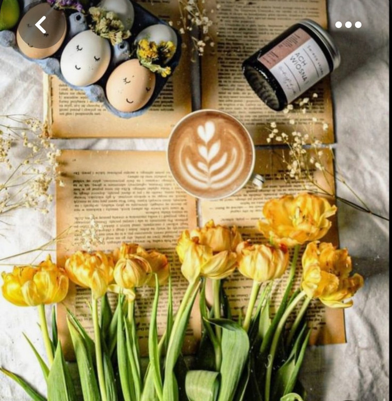 Screenshot_20230328_004508_Pinterest