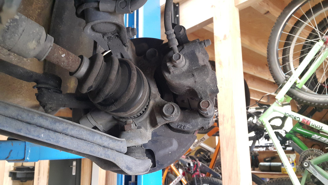 20211109_123116 (Large)