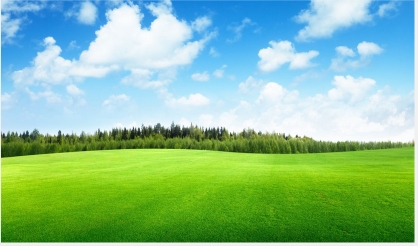 Clouds-trees-field-of-grass-beautiful-na