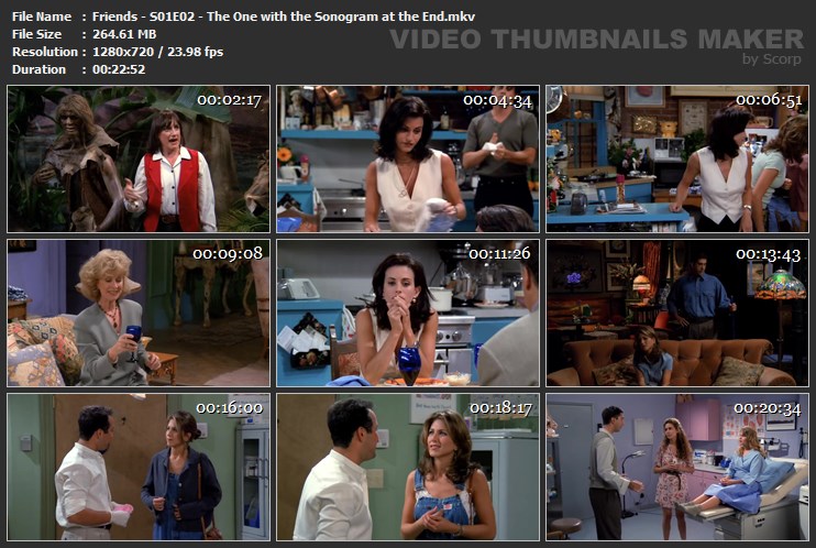 Friends - S01E02 - The One with the Sonogram at the End.mkv