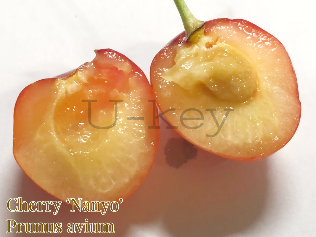 DB8A9800-6475-4B9B-8221-DC29B7AD099F