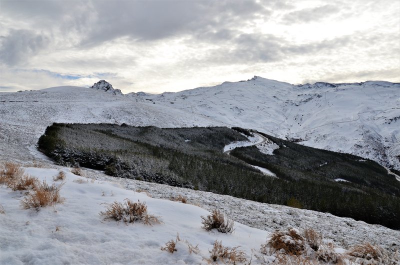 SIERRA NEVADA-15-1-2014-GRANADA - Paseando por España-1991/2017 (6)