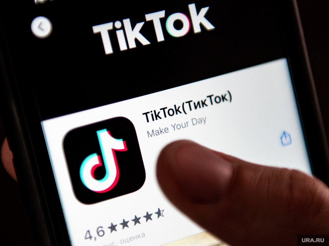 En TikTok perrita ya no quiere volver a ver a su antigua dueña