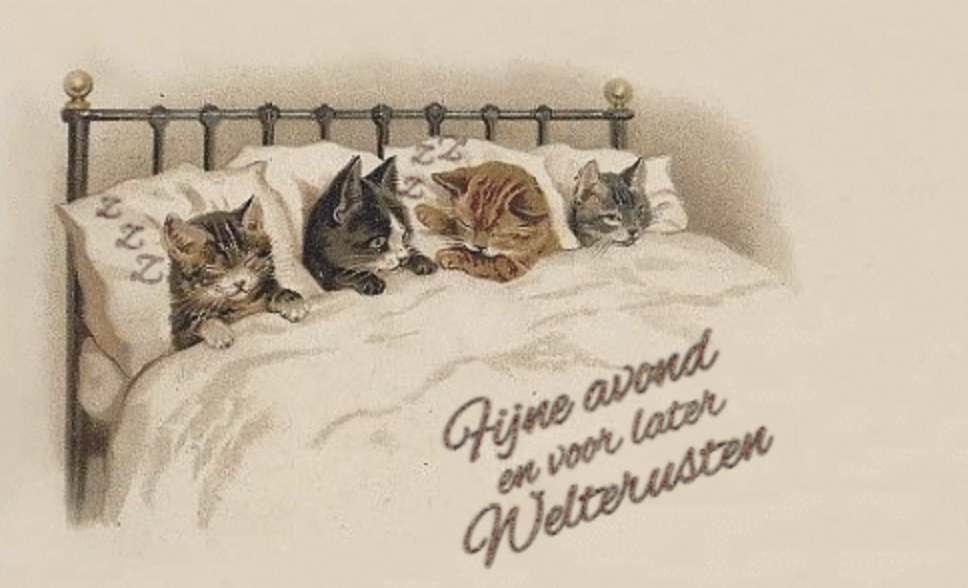 Scherm-afbeelding-2024-10-12-om-22-08-51.png