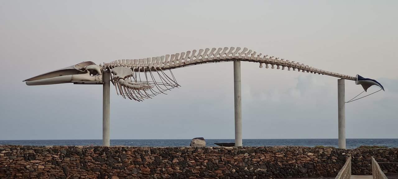 Fuerteventura, la isla de la calma - Blogs de España - CENTRO DE LA ISLA: CUEVAS Y PISCINAS NATURALES (7)