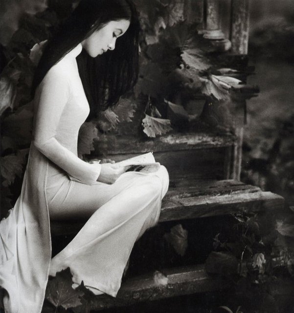 [Image: 33098362-L.jpg]