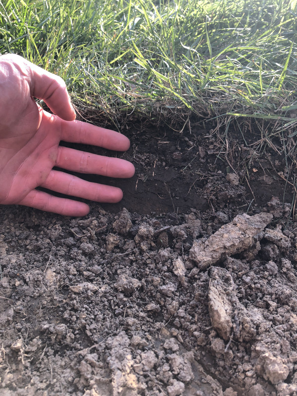 C838E5A6-D5D8-4DC5-9BBB-5676277E9DDA