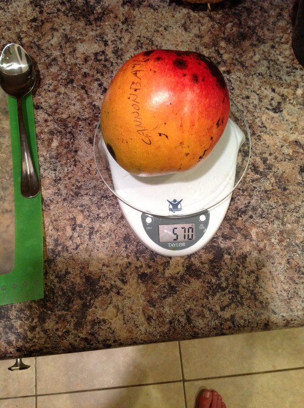 ae229ca63431ea13208687199f799eaf