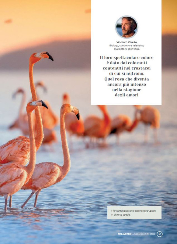 melaverde Lug 2022 (4)