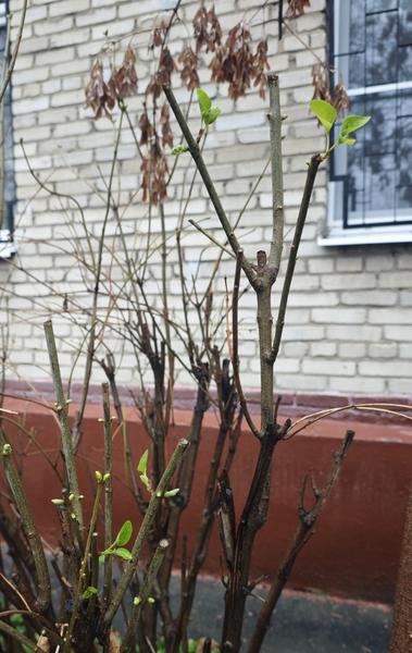 Screenshot-2025-12-05-14-02-53-258-com-m