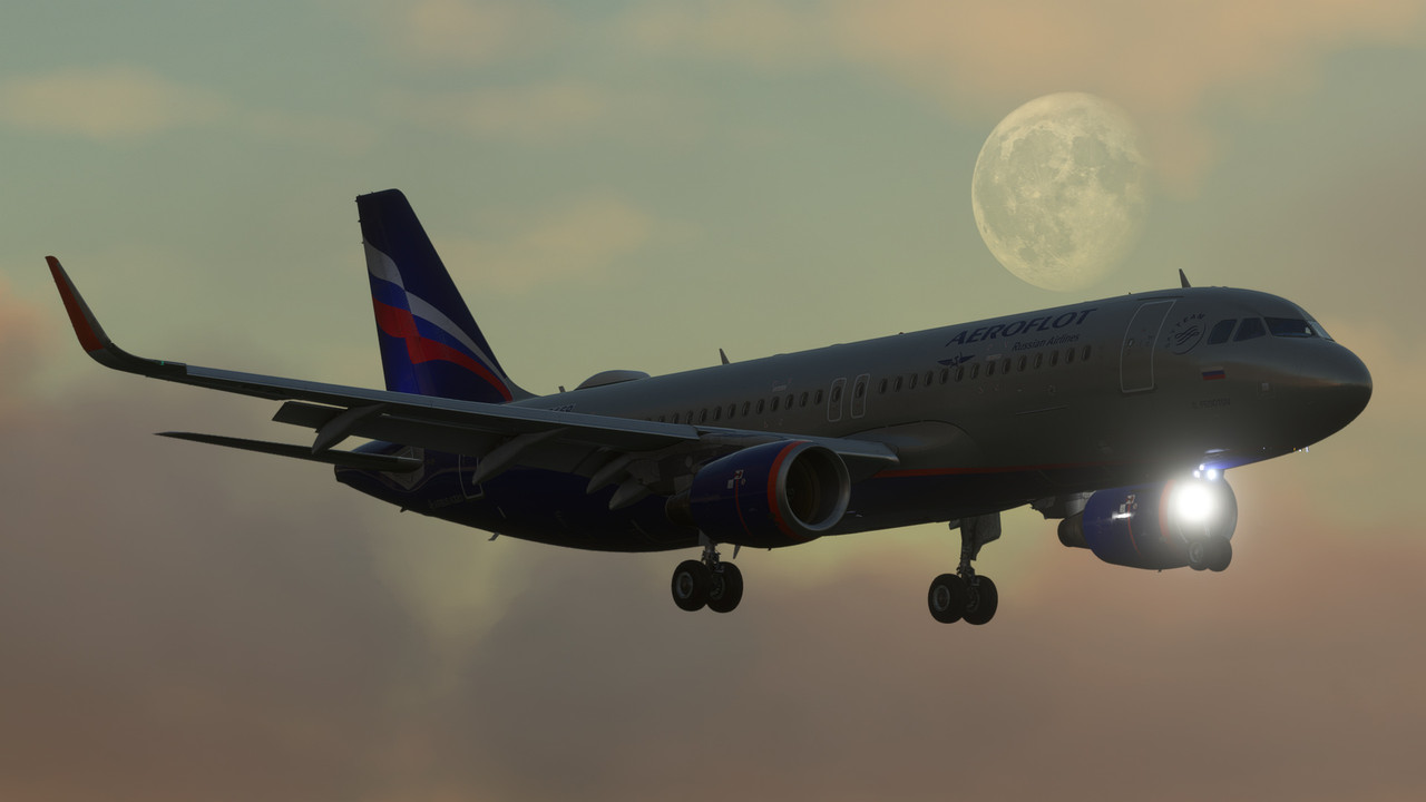 29959-png.jpg