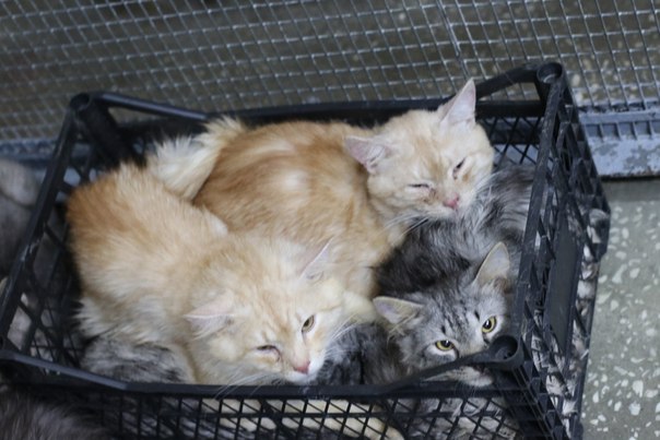 E835ACBB-5424-4BA4-809B-3412BB1201CC