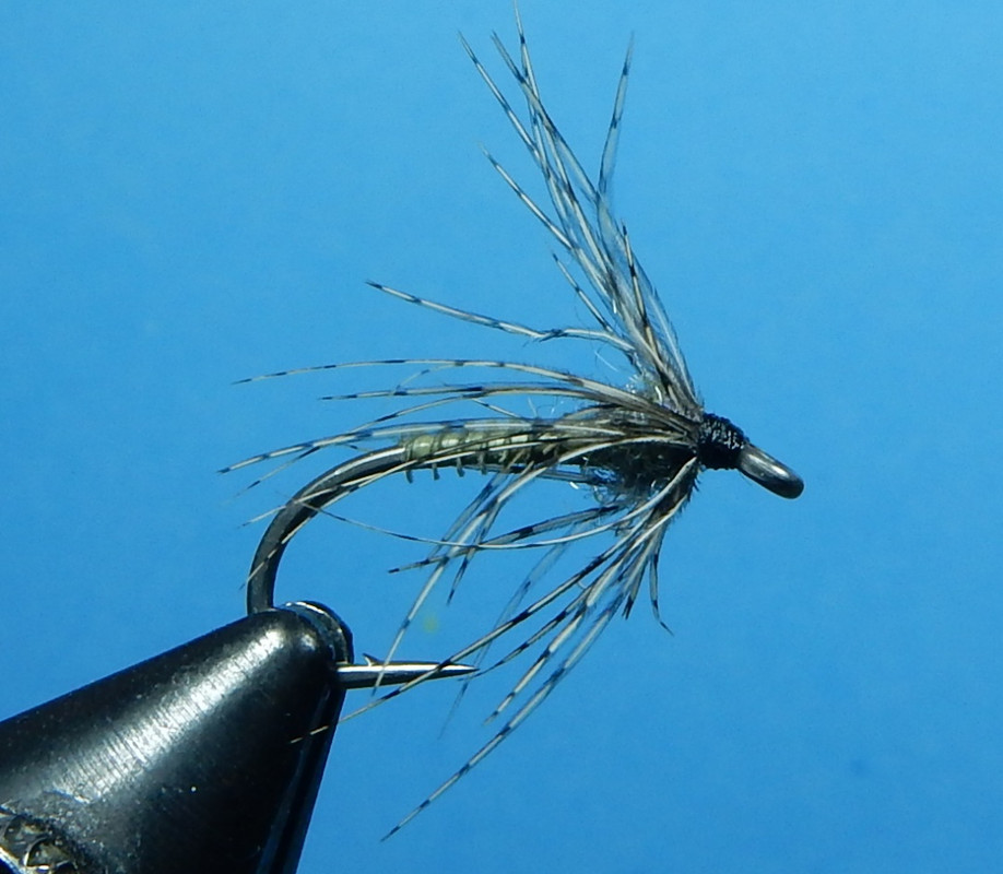 Olive-Biot-Soft-Hackle-1080.jpg