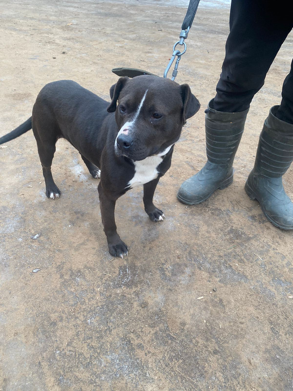 WhatsApp Image 2023-01-24 at 10.11.42 (1)