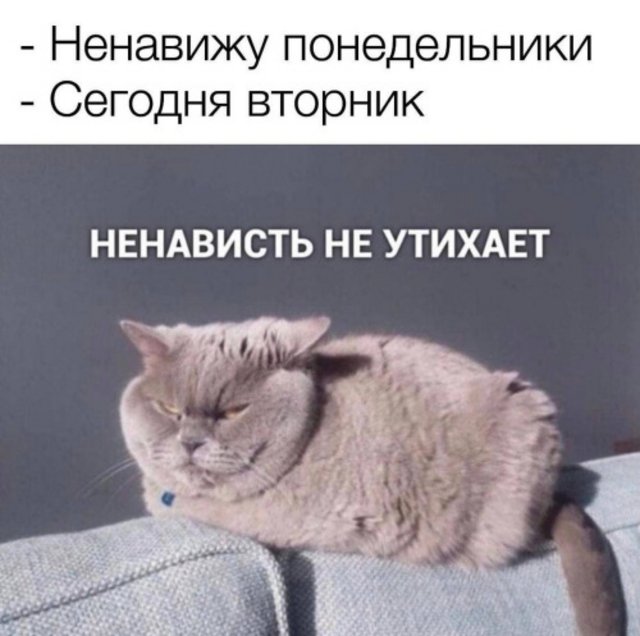 61d2b4a937f8