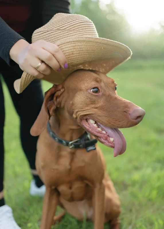 1A1BCBC4-4C67-4B95-8BA5-016335E948C1