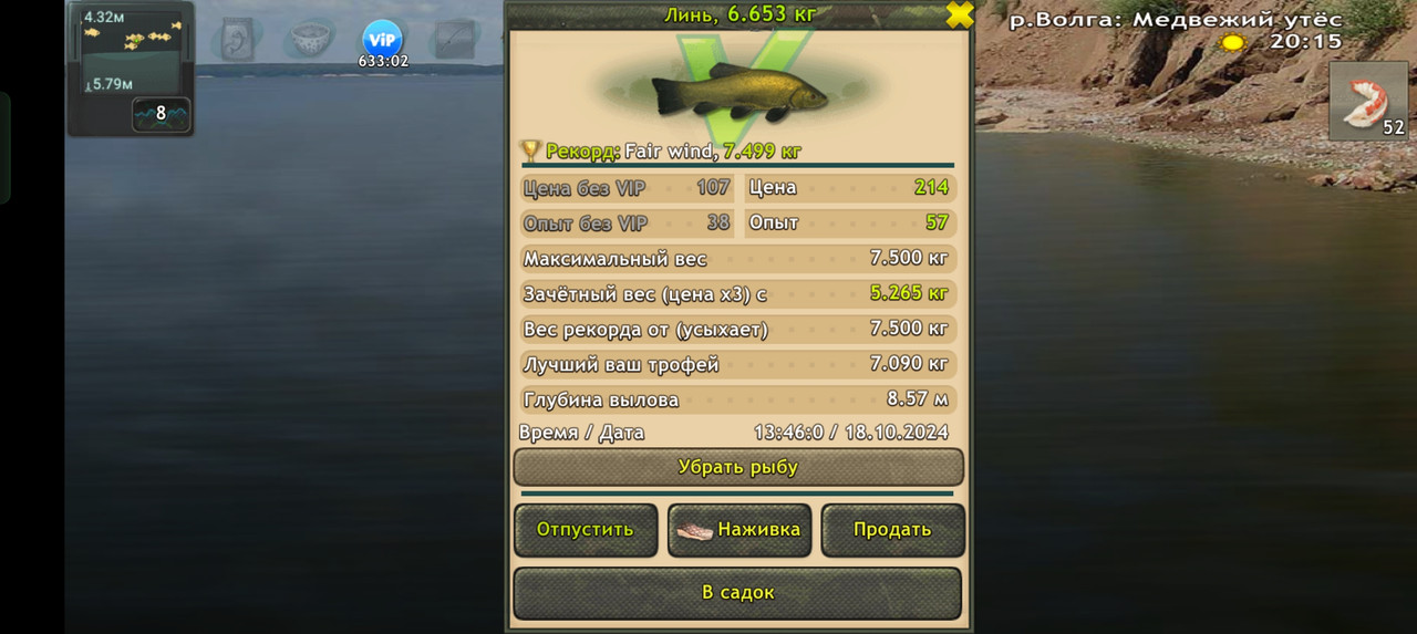 Screenshot-2024-10-18-13-46-04-66-fa28ee