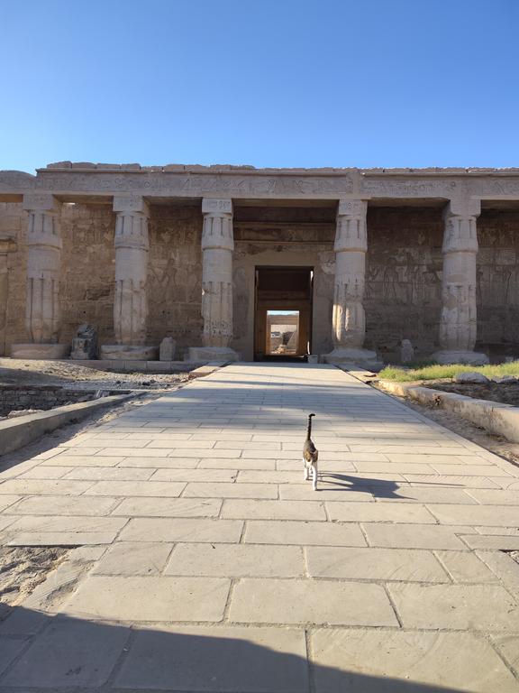 Ленивый Египет (Хургада, Луксор, Каир), декабрь 2025 - январь 2026