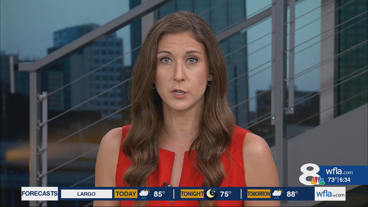 NewsChannel 8 Today at 6a_20251003_11001200.ts_snapshot_00.35.13.447