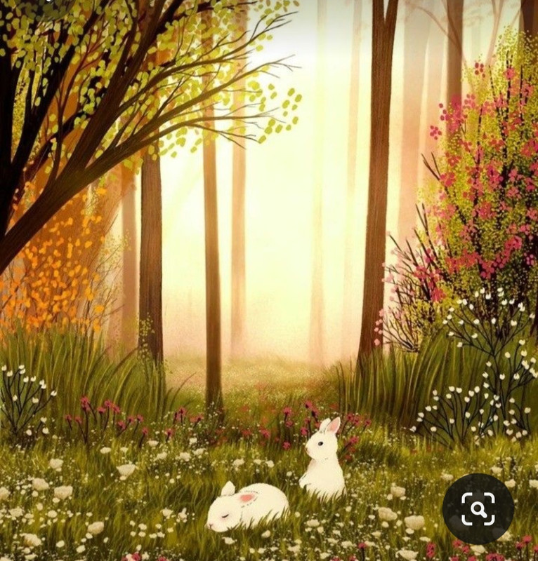 Screenshot_20240410_233528_Pinterest