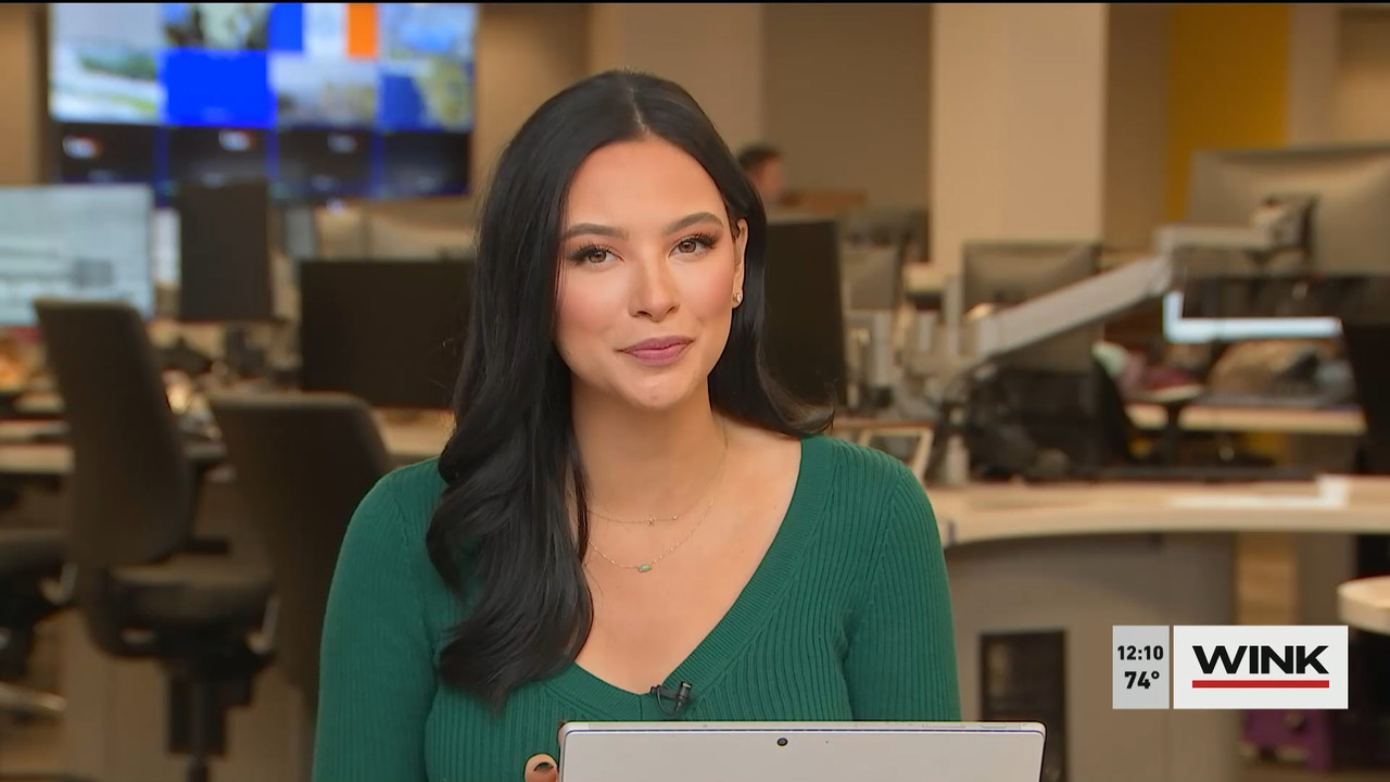 12.21 - 17.00.00 - The WINK Noon News  ᴺᵉʷ. Midday news update..ts_snapshot_16.39.075