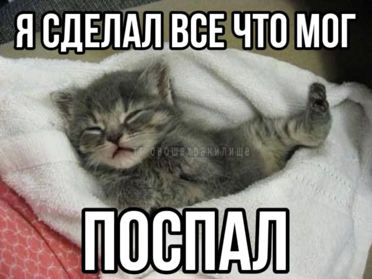 https://i.postimg.cc/x1gmPCVy/image.jpg
