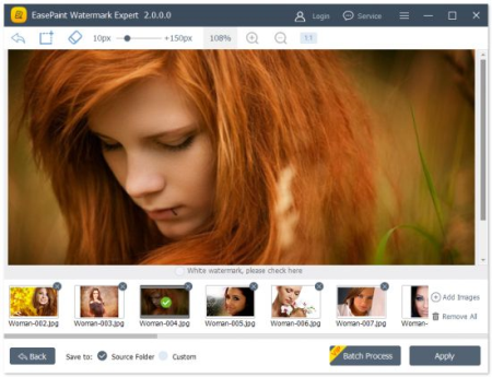 EasePaint Watermark Expert v2.0.9.0