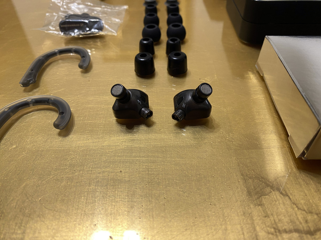 Sennheiser IE 80 auricolari 1