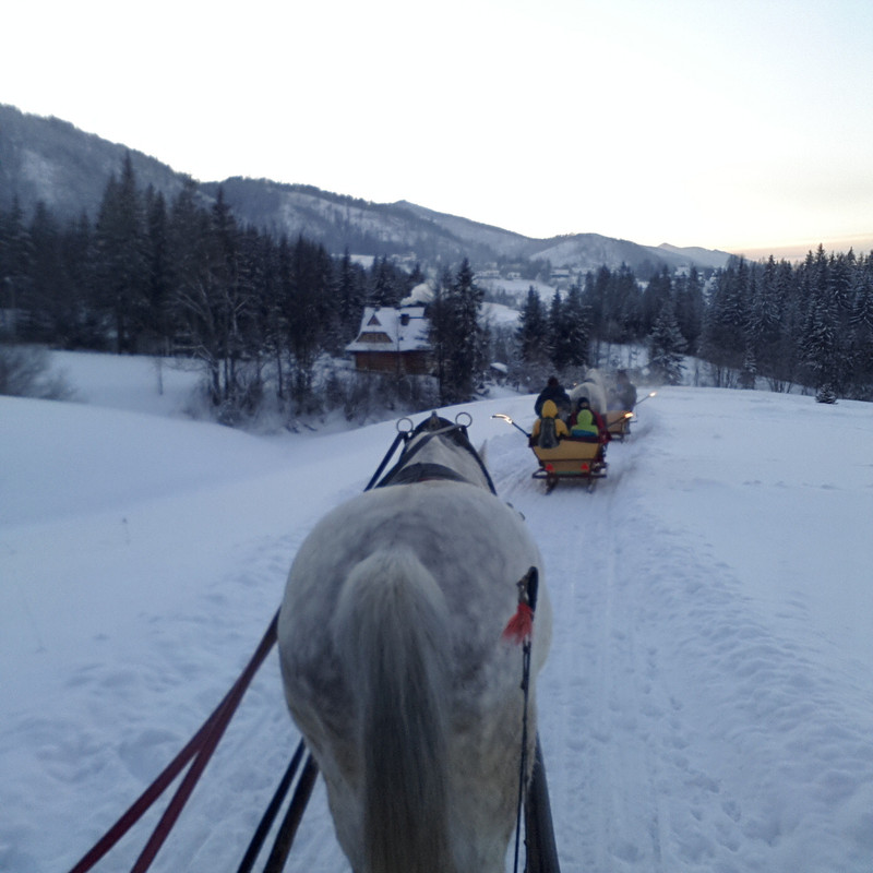 16.18 - 20170107_155110 (VdL)