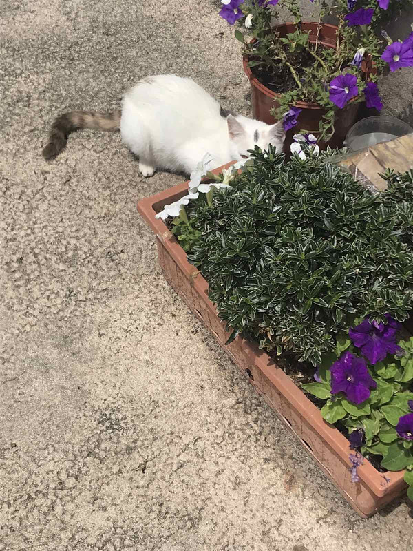 3A7F4752-C4BF-4A3B-9717-7383A7D81760