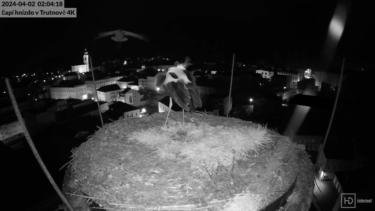 Tiešraidē no stārķa ligzdas uz alus darītavas skursteņa Trutnovā 6-52-58 screenshot