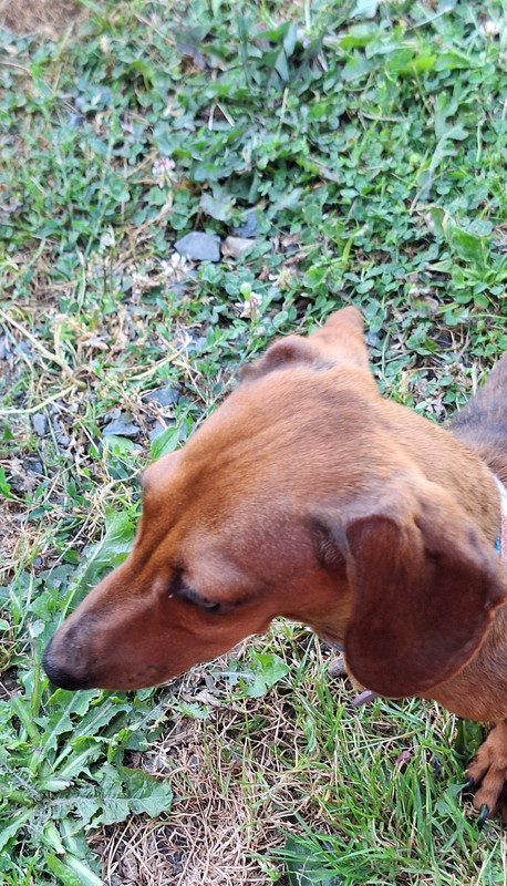 [Image: 20250628-191237.jpg]