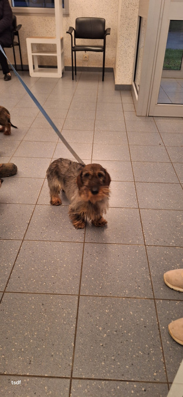 [Image: 20250117-175036.jpg]