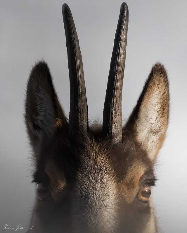 CBC01DB6-D050-4366-87B4-9E3D7194E0EA