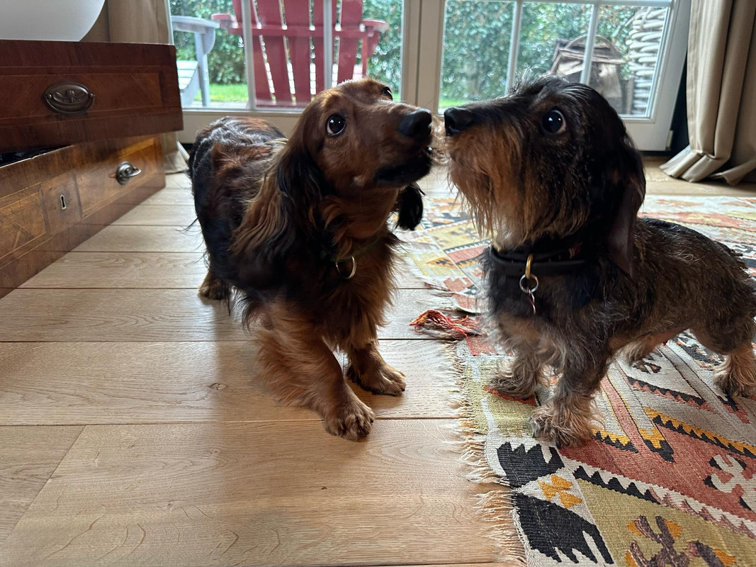 [Image: IMG-20240228-WA0023.jpg]