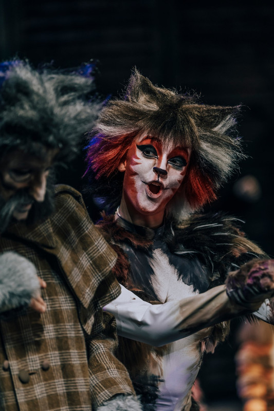 Cats, recensione del musical al Sistina di Roma Cats, recensione del musical al Sistina di Roma