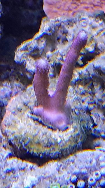 WhatsApp Image 2021-02-19 at 13.05.23 (2)