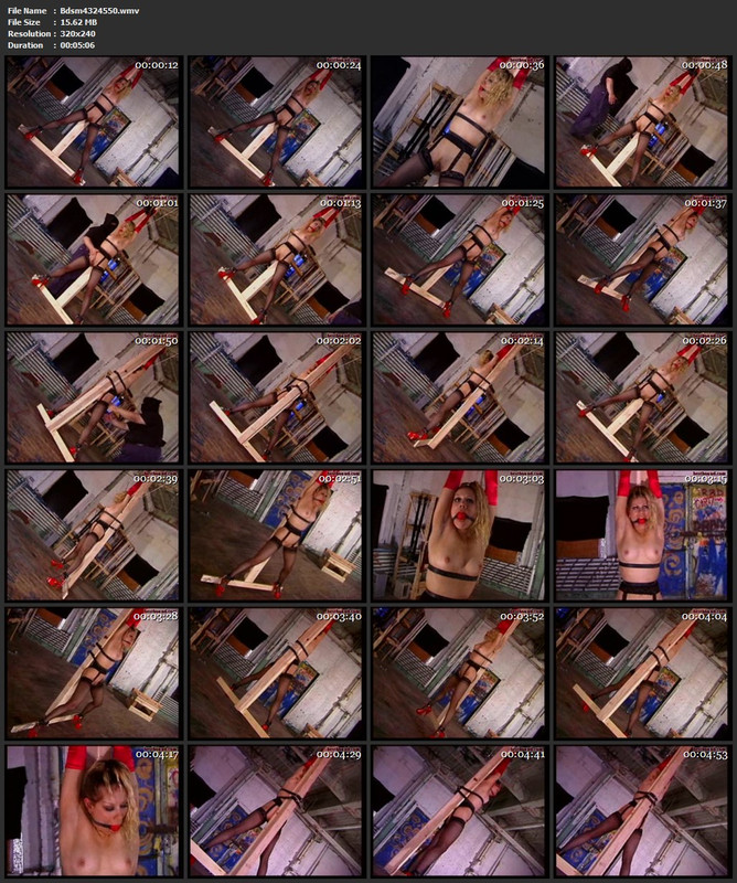Bdsm4324550.wmv