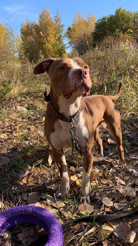 0CC9FC23-2094-42BA-B1E6-215F01F9D333