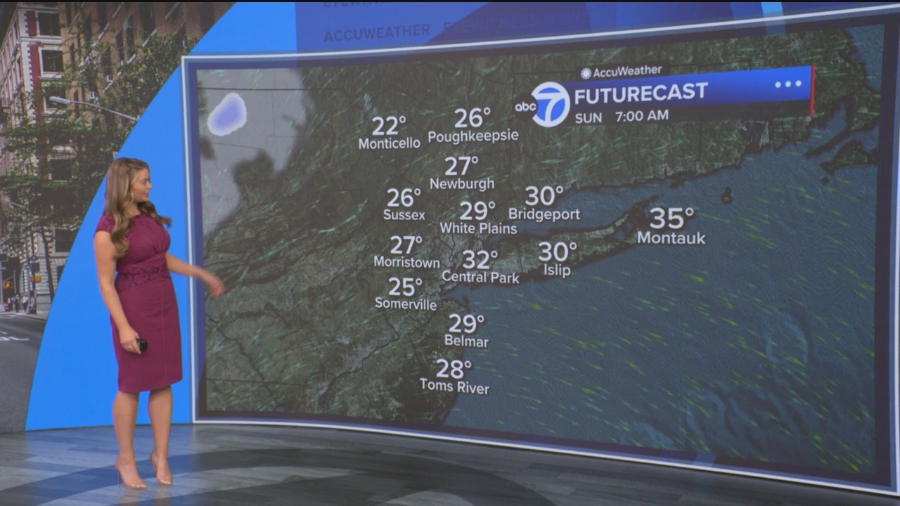Eyewitness News This Morning_20250308_14001500.ts_snapshot_00.52.28.204