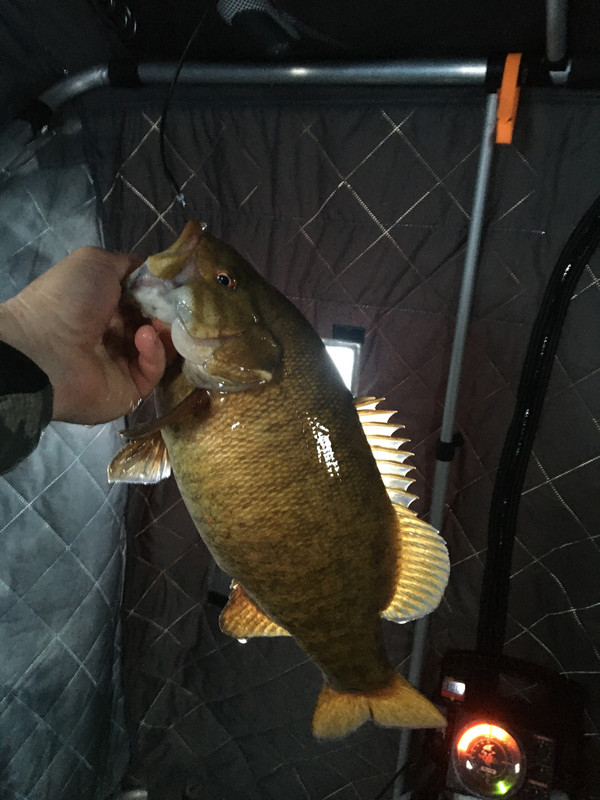 D273A937-A7D5-4753-B45E-60EB0C602AC0